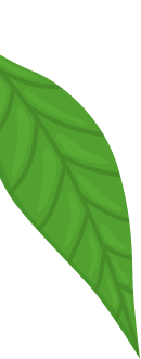 Dent Sağlık Ağız ve Diş Sağlığı Polikliniği