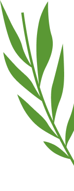 Dent Sağlık Ağız ve Diş Sağlığı Polikliniği