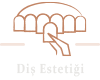 dis estetigi